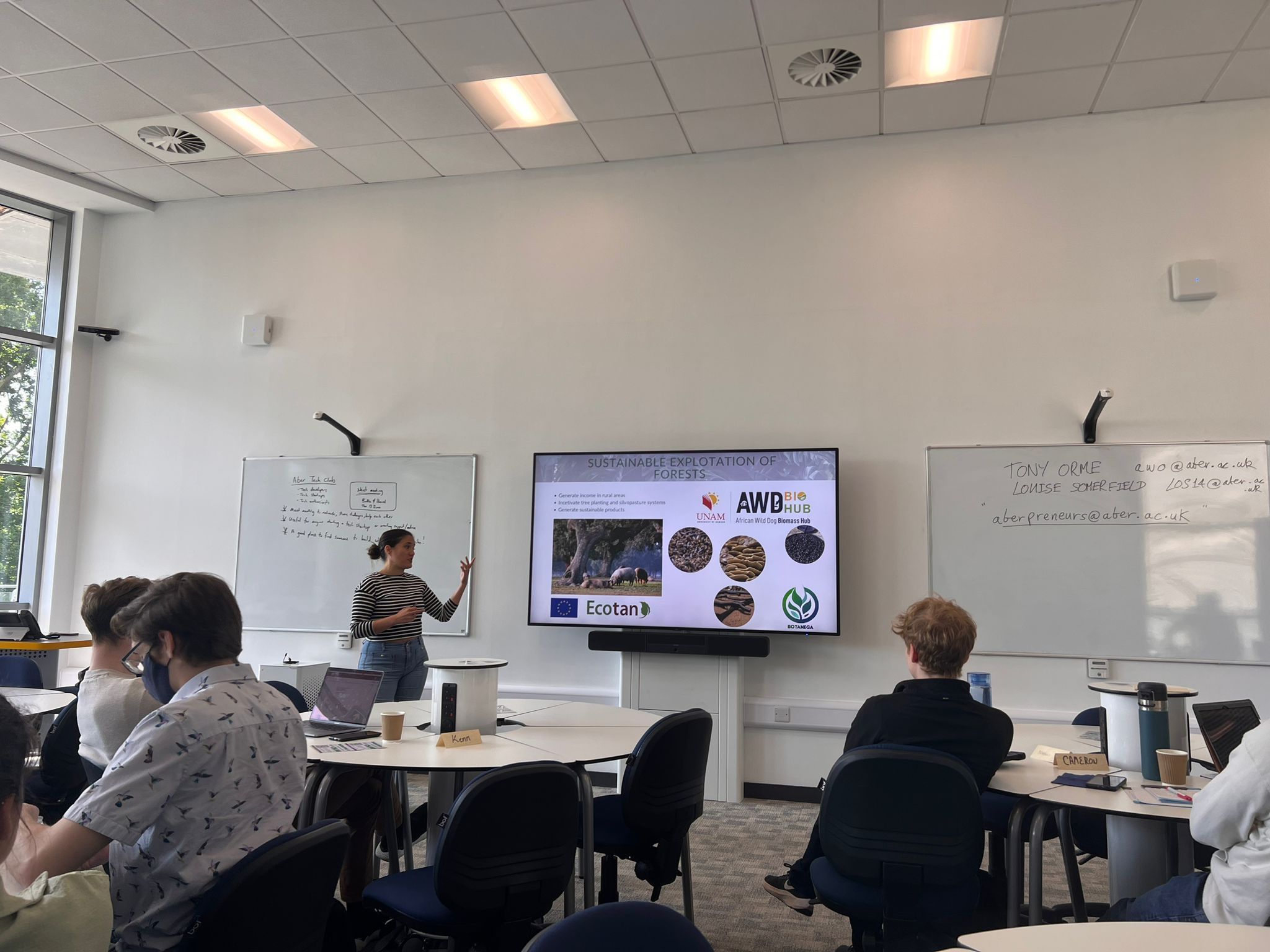 Plant phenolics livestock sustainability